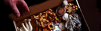 Choosing the Right Mushrooms to Grow