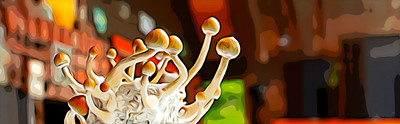 Golden Teacher Spores: Identification Under the Microscope