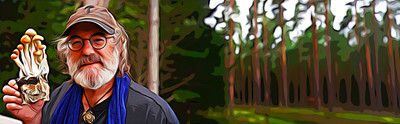 Paul Stamets: Mushroom Research, Psychedelics & Sustainability
