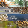 Mushroom Spore Pack Syringes for Beginners