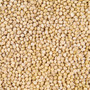 White Millet Grain for Growing Mushrooms