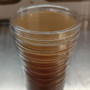 Light malt extract agar plates at Fungi Myco