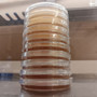Pre-poured agar plates