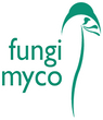 Fungi Myco