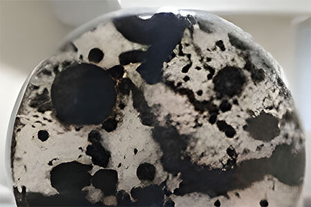 Aspergillus - mushroom contaminant