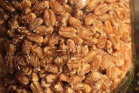 Yeast Mould - mushroom contaminant