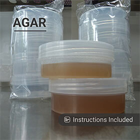 Agar