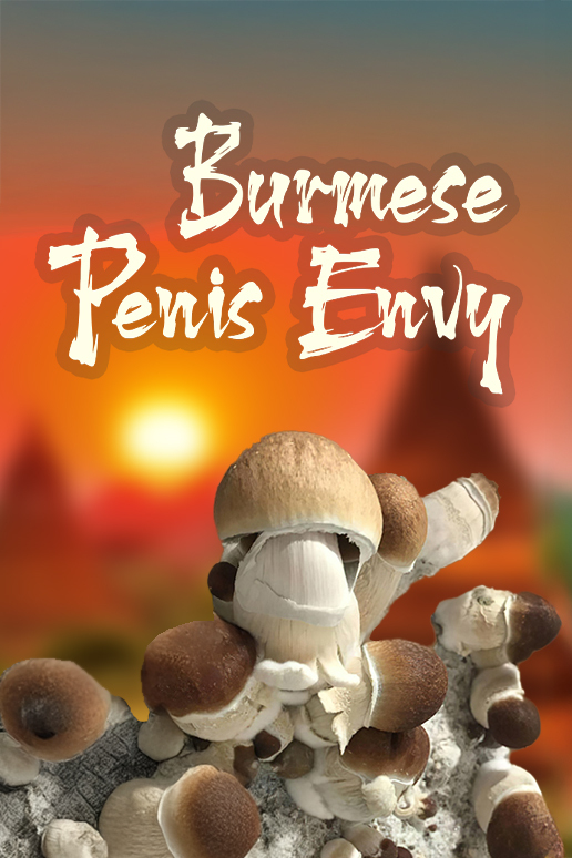 See Burmese Penis Envy Spores