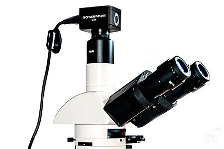 Digital eyepiece camera to capture magnified spore images for research documentation