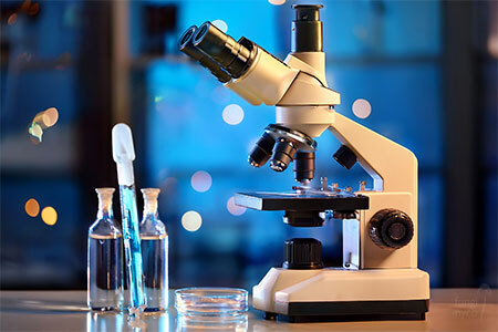 Compound microscope on a laboratory bench with a prepared spore slide ready for fungal spore examination