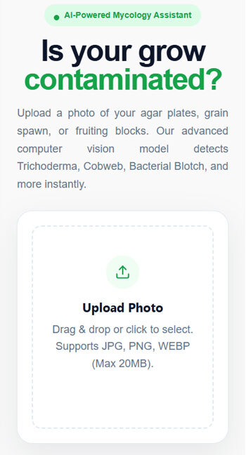 Upload your supected contamination to the Contam Buster