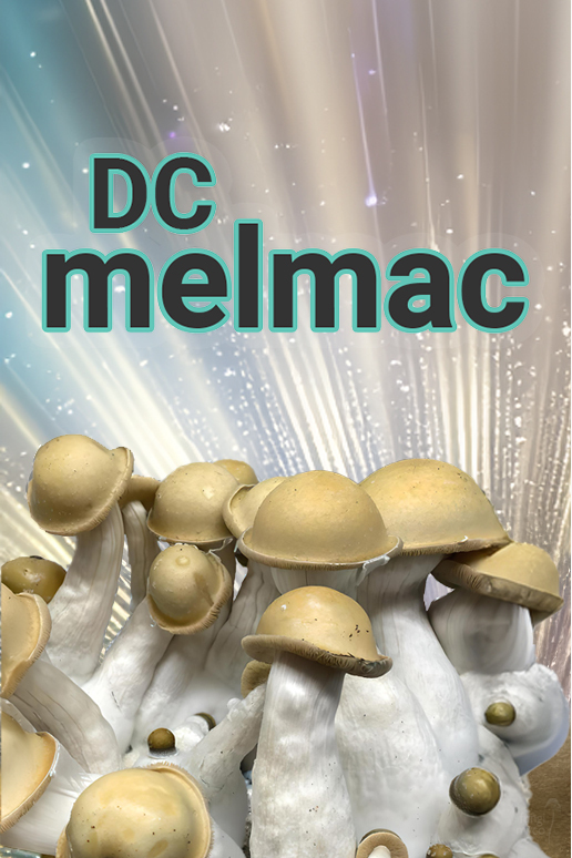 See DC Melmac Spores