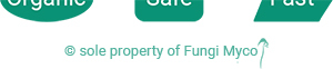 Fungi Myco: organic, safe, fast - 2