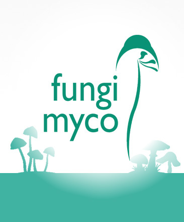 Fungi Myco Mushroom Banner