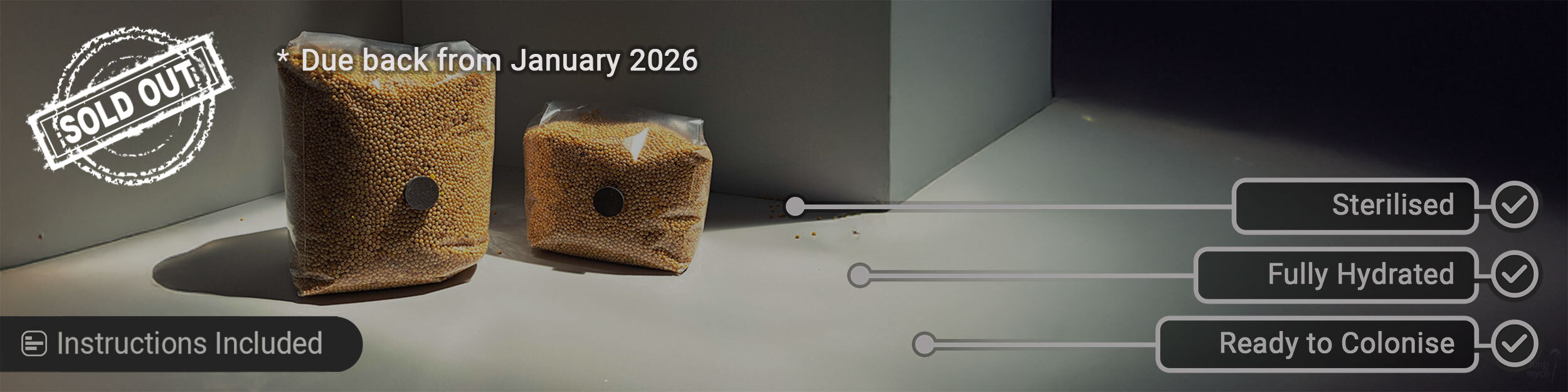 See White Millet Grain Spawn for Growing Mushrooms