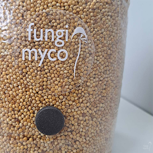See Sterilised White Millet Spawn