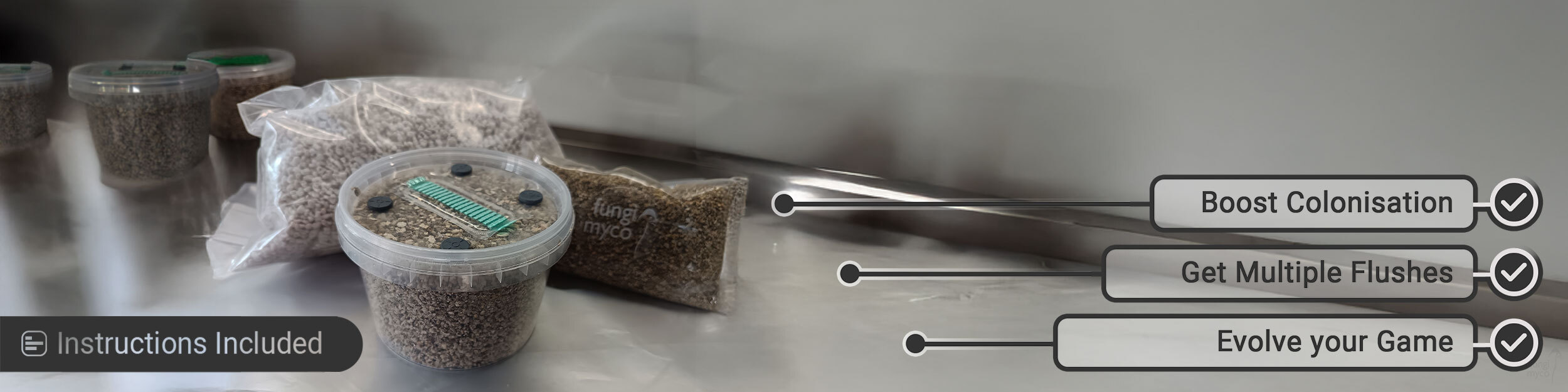 Hypha Flux PF Tek for Growing Mushrooms