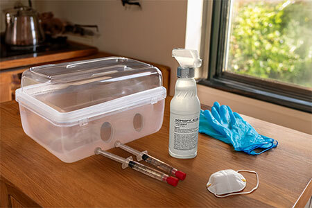 UK home mushroom inoculation equipment laid out including still air box, isopropyl alcohol, nitrile gloves, face mask, and a spore syringe