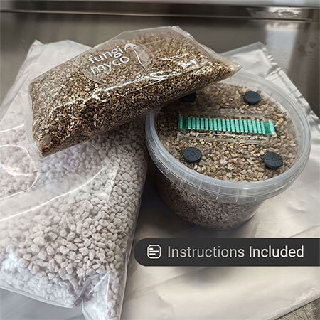 4 Port PF Tek at Fungi Myco, mushroom growing kit, mushroom spawn