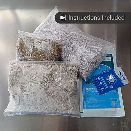 PF Tek Refill at Fungi Myco