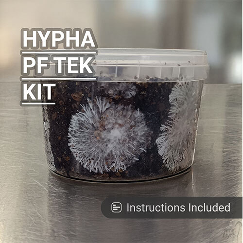 Hypha Flux PF Tek Kit