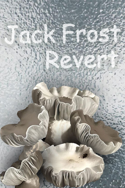 See Jack Frost Revert Spores