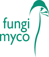 Fungi Myco