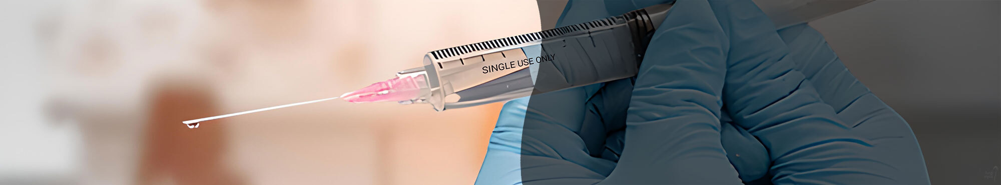 Buy Magic Mushroom Spores UK