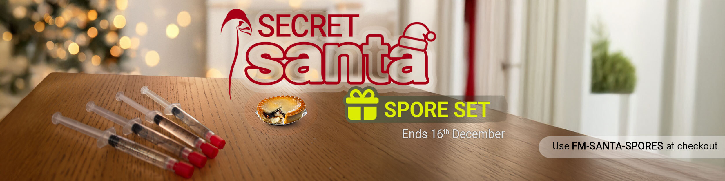 See home.cat.xmas.mainImgAlt