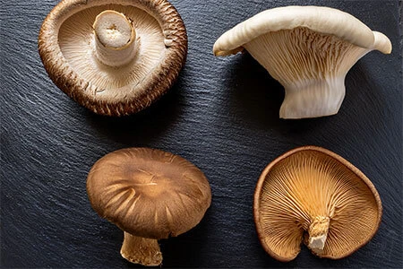 Close-up of 4 different mushroom species on wooden shelving in a home grow setup