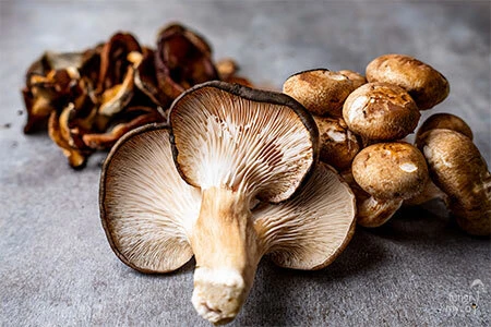 Grey oyster mushrooms and a shiitake displayed side by side on a wooden surface compare features