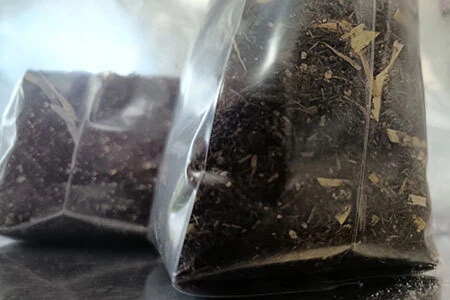 Pasteurised straw in a growing bag with Coco coir, vermiculite and gypsum