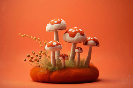 mushrooms, highest quality magic mushroom spores
