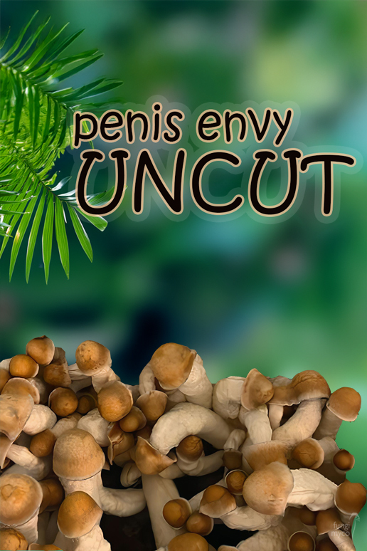 See Penis Envy Uncut Spores