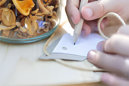 Writing a label to keep track of mushroom grow bags, tubs & jars