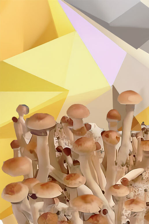 See PES Hawaiian Spores