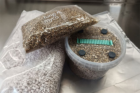 Complete PF Tek Hypha Kit including plastic pots, vermiculite, perlite, brown rice flour, tin foil, fruiting bag, gloves and alcoholic wipes for UK growers