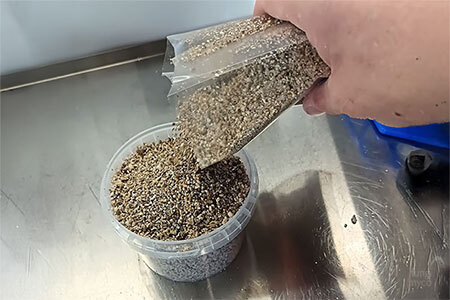 Hand adding dry vermiculite layer on top of brown rice flour substrate in a PF Tek mason jar to create a contamination barrier
