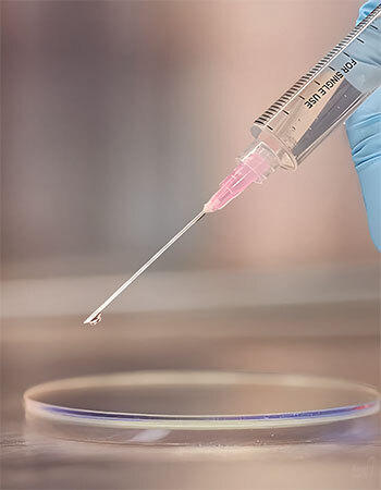 Placing a droplet of spore solution onto a glass slide before microscope examination