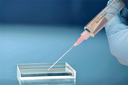 Gloved hands preparing a wet mount microscopy slide from a spore syringe in a home lab setting