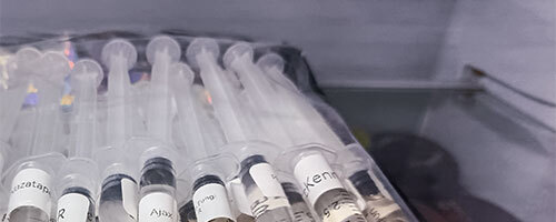 Refrigerate Spores on Arrival