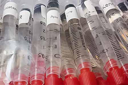 Well-labelled spore sample packaging showing species name from a reputable vendor