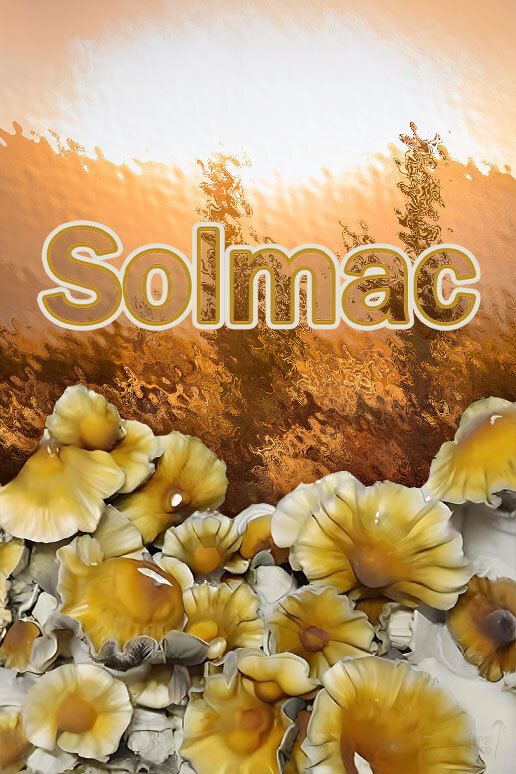 See Solmac Spores