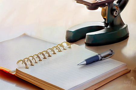 Notebook to list species names and observations for ongoing spore research