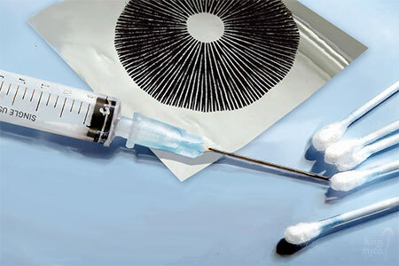 Flat lay of spore research tools including a syringe, cotton swab, and dark spore print on a clean surface