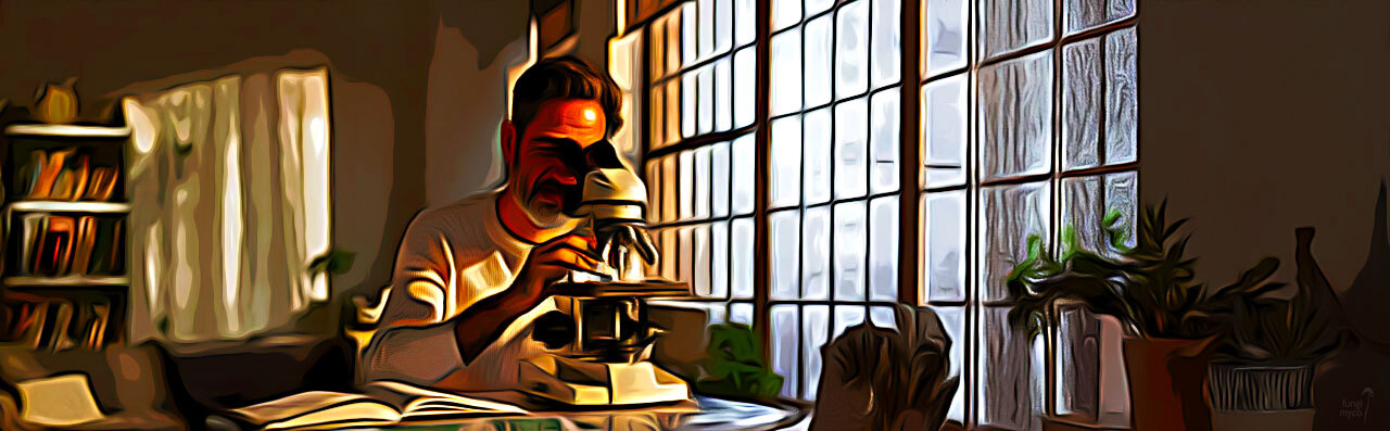 Spore microscopy research