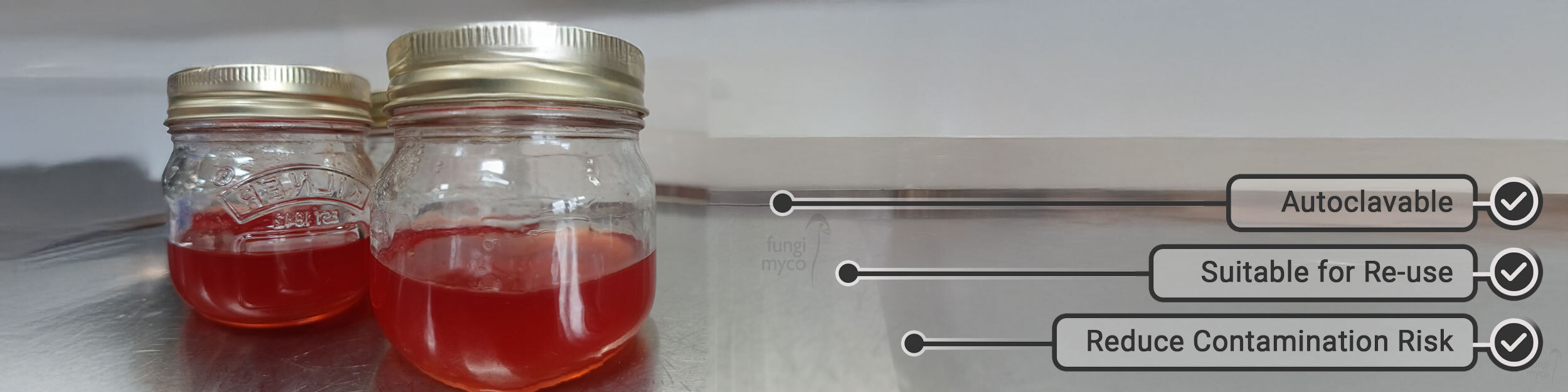 Agar Research Jar for Microscopy