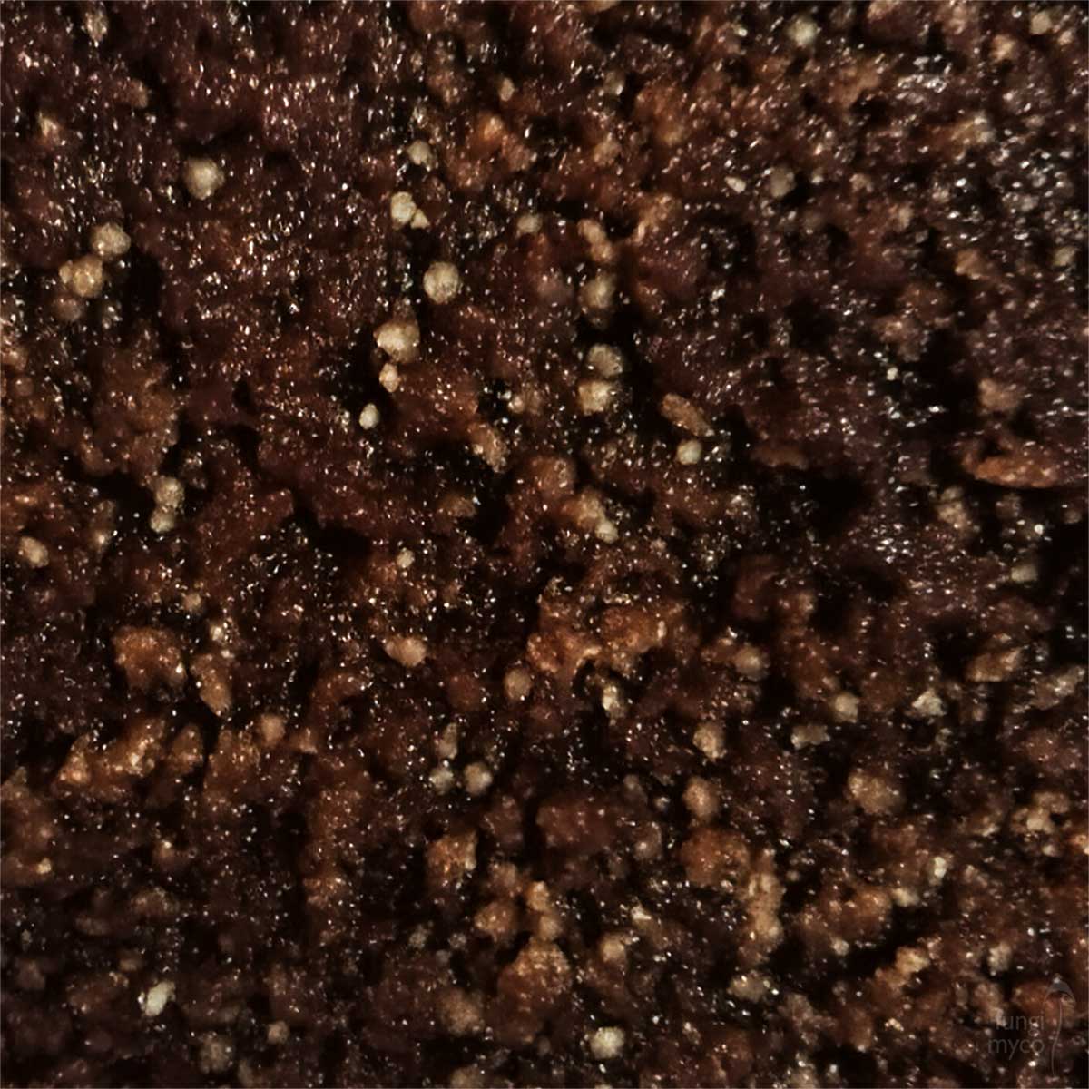Coir & Vermiculite Bulk Substrate Fungi Myco