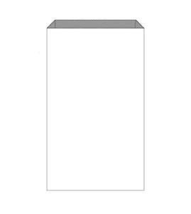 Plain White Large Foil Lined Chicken Bag