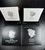Full Set of 2023 Morgan & Peace Silver Dollars PCGS MS70, PR70DCAM, W/OGP, COA